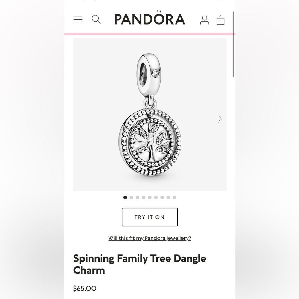 Pandora family is a circle of love charm with chain